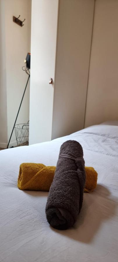 Studio En Rdc - Quai De Garonne - Capitole - Wifi Apartment Toulouse Exterior photo